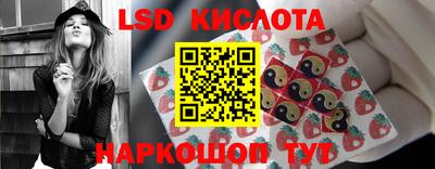 СК Краснознаменск