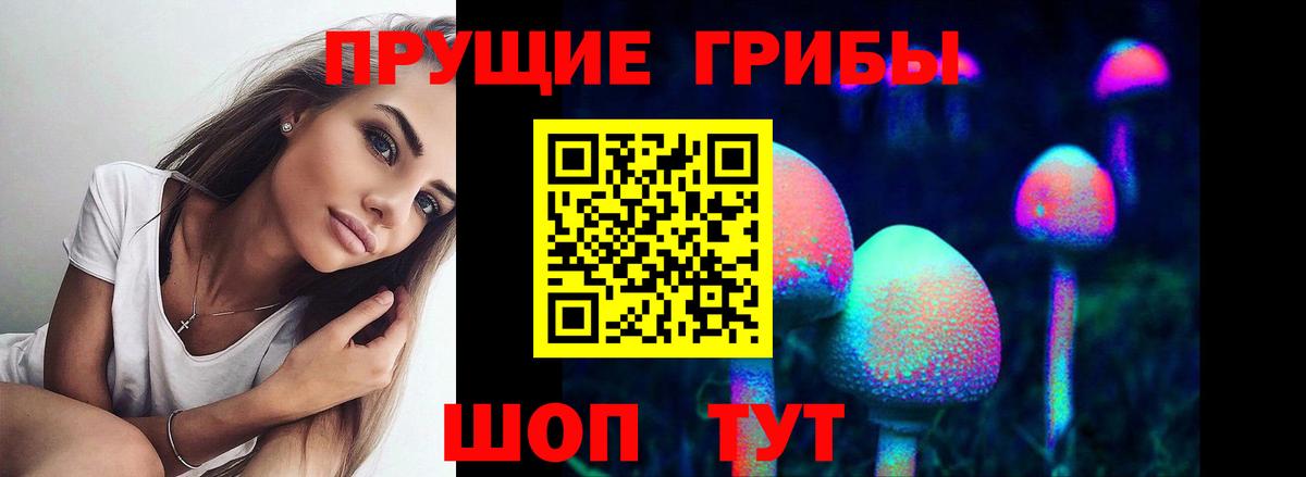 Галлюциногенные грибы прущие грибы  Псилоцибиновые грибы MAGIC MUSHROOMS  Вход с VPN  как найти наркотики  Валуйки 